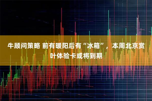牛顾问策略 前有暖阳后有“冰箱”，本周北京赏叶体验卡或将到期