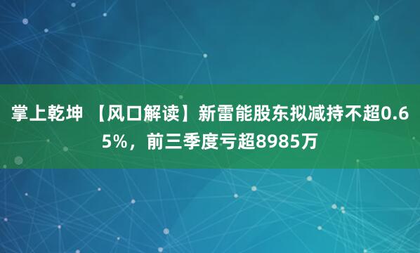 掌上乾坤 【风口解读】新雷能股东拟减持不超0.65%，前三季度亏超8985万