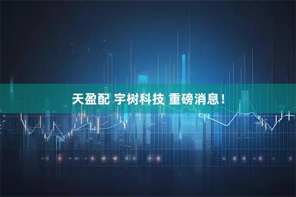 天盈配 宇树科技 重磅消息！